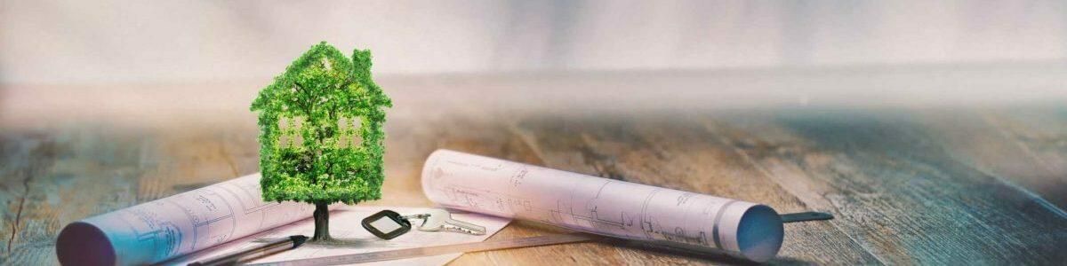 Une serre faite de feuilles repose sur des documents, avec du papier roulé sur une surface imitant le grain du bois.